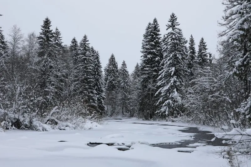 Петрозаводск